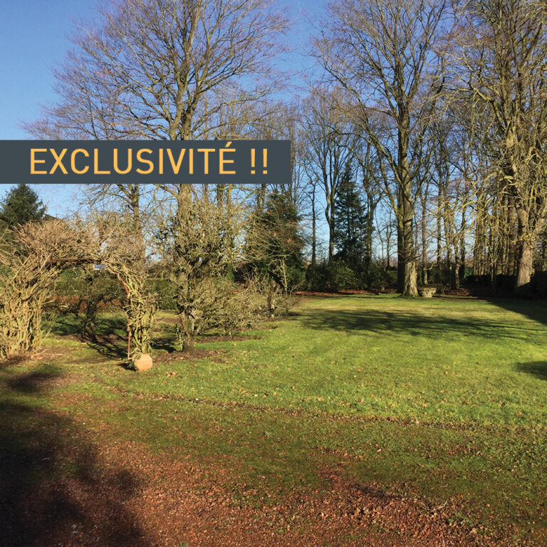 ORCHIES-VDE-012018-GALERIE